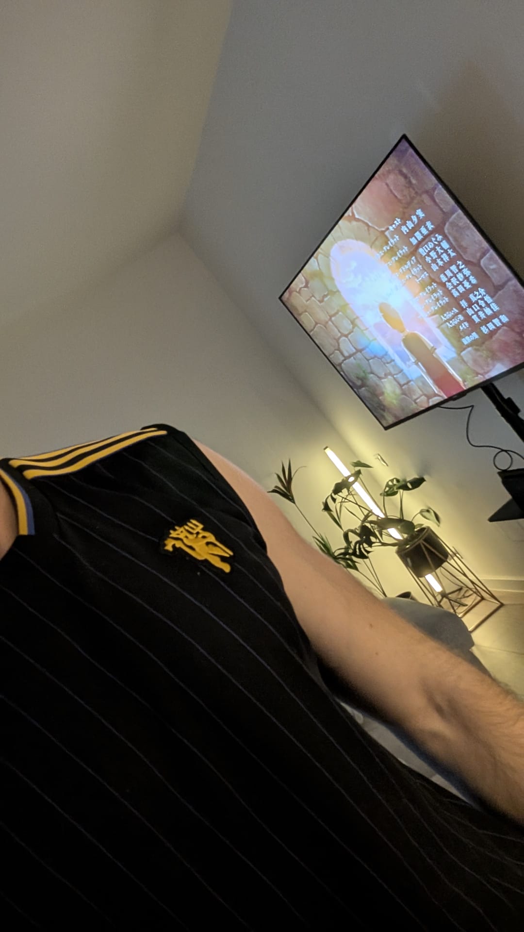 Camiseta HOMBRE